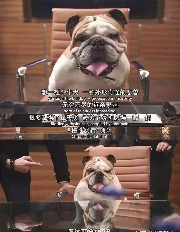 豆瓣9.5<strong></p>
<p>期货知识</strong>，HBO“最萌剧”回归，小格局玩出大效果！