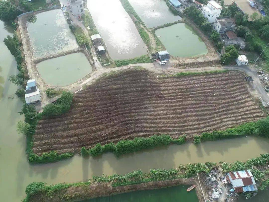判案:挖个鱼塘养鱼<strong></p>
<p>怎么挖比特币</strong>,怎么就违法了?提醒,这事干不得!