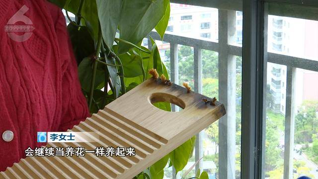 “可以蒸蛋”!昆明一女子家中搓衣板上长菌<strong></p>
<p>桃币</strong>,品种竟是……