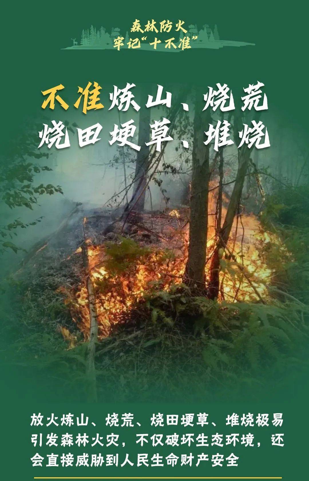 已致4名消防员遇难<strong></p>
<p>西藏币</strong>！多地进入“灾难状态”