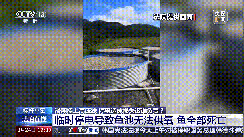 深圳女子被挂高压线!停电救援<strong></p>
<p>洛奇币</strong>,9池鱼死光!他怒上法庭……