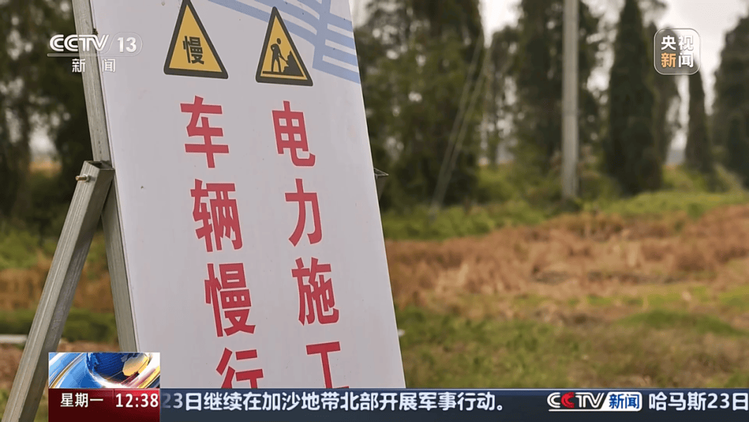 深圳女子被挂高压线!停电救援<strong></p>
<p>洛奇币</strong>,9池鱼死光!他怒上法庭……