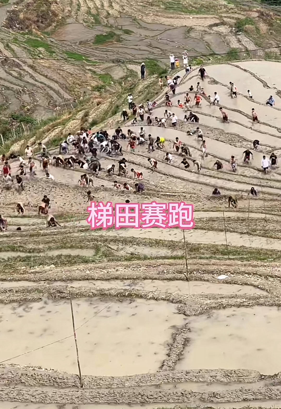 桂林一景区回应爬梯田比赛前两名半坡起跑作弊：游客赛前试爬后躺半坡<strong></p>
<p>voise币</strong>，工作人员没发现