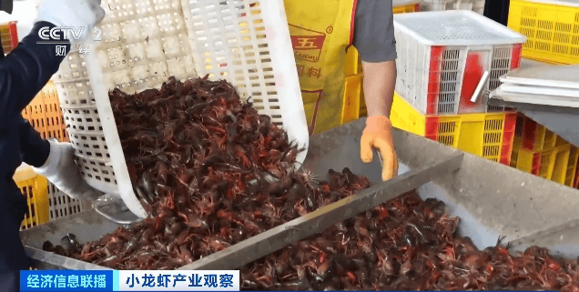 价格暴跌近50%<strong></p>
<p>掌上快币</strong>！“接下来还会降”！青岛正大量上市……