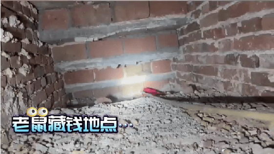 老人用红袜子包裹一万元现金藏在门框上<strong></p>
<p>趣币</strong>,一天后不翼而飞,警方破案:偷钱的是老鼠