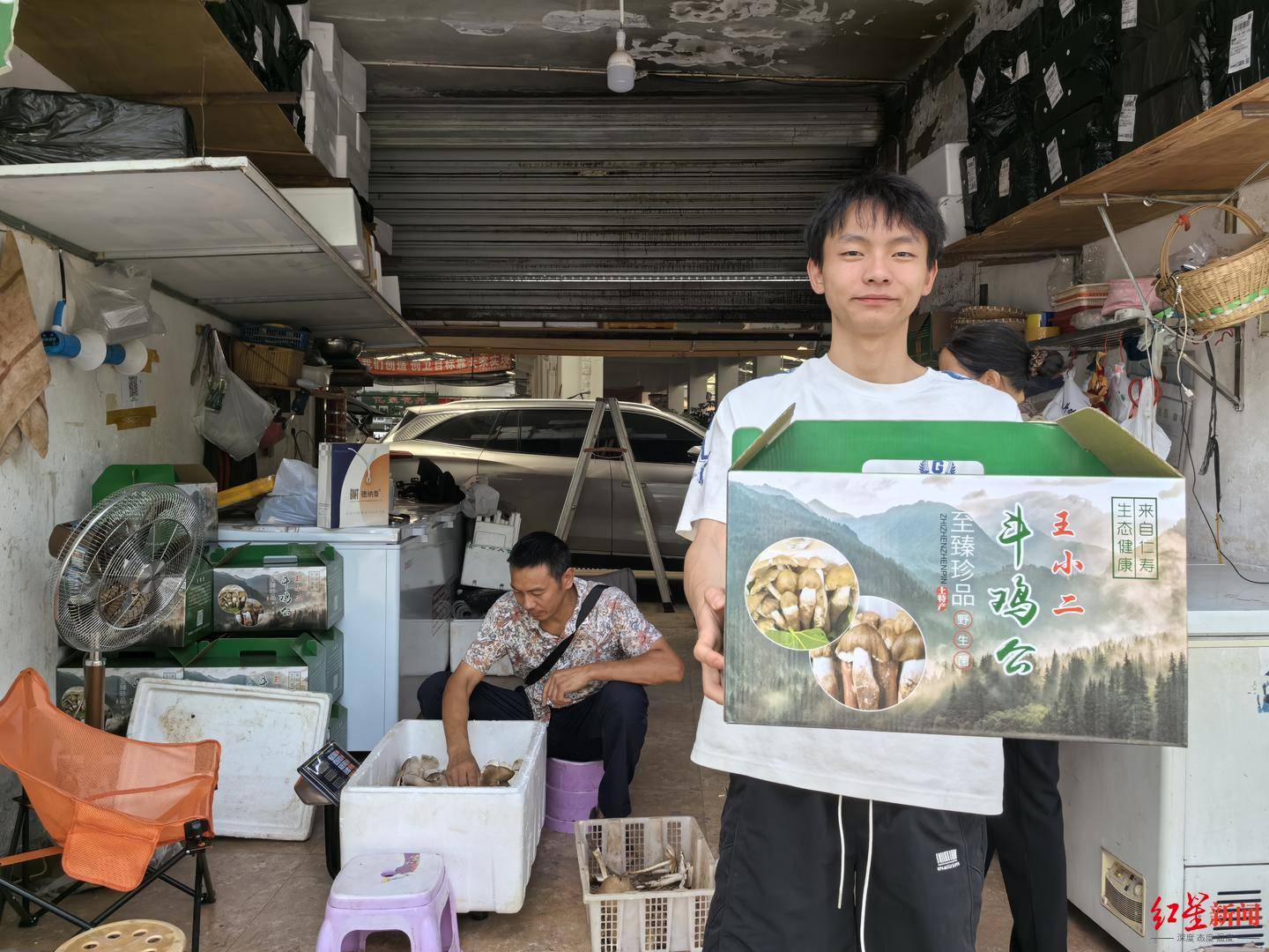 “天价”鸡枞调查：最贵卖到1800元/公斤！雨水少致产量低<strong></p>
<p>染色币</strong>，多地价高客少