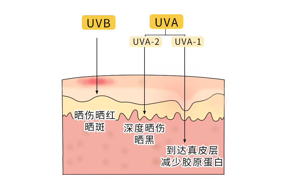 阴天没阳光<strong></p>
<p>奉币</strong>,就不用防晒了吧?