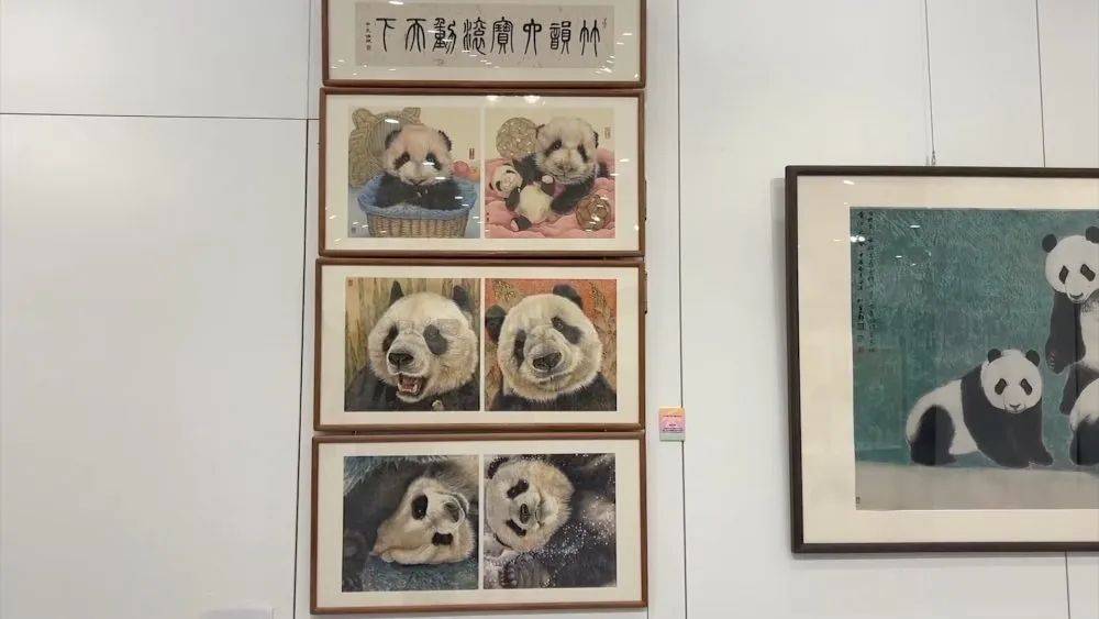 “中国的稳定发展意味着信心与机遇”