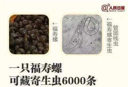 别吃!寄生虫多达6000条!浙江一地大量出现<strong></p>
<p>sic币</strong>,看到立刻上报
