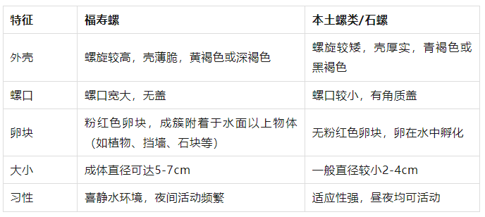 别吃!寄生虫多达6000条!浙江一地大量出现<strong></p>
<p>sic币</strong>,看到立刻上报