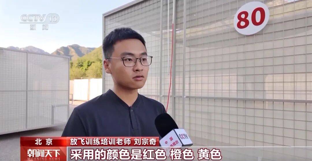 明天将放飞8万羽和平鸽、8万只气球<strong></p>
<p>土币</strong>，揭秘！