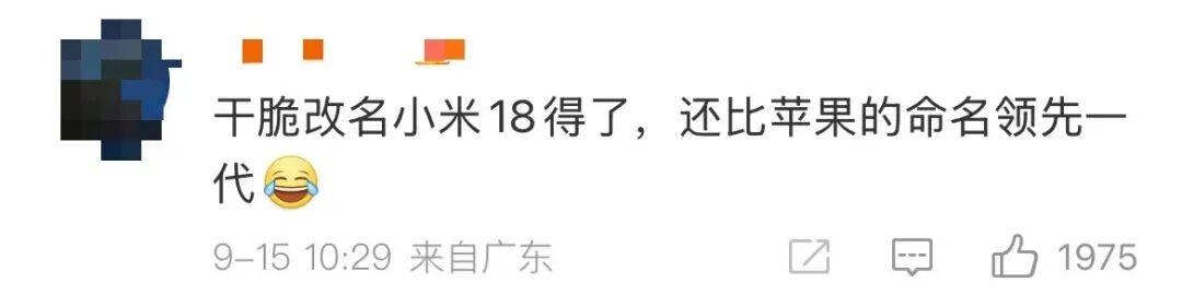 雷军:全面对标iPhone<strong></p>
<p>绿行币</strong>,正面迎战!小米宣布跳过16系列,直接发布17