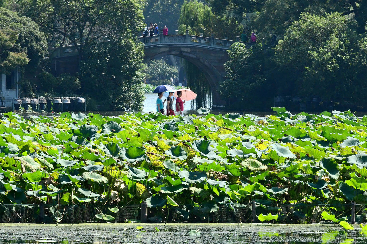 “三台共舞”对浙江有何影响?周末又有冷空气<strong></p>
<p>币阅</strong>,气温舒适