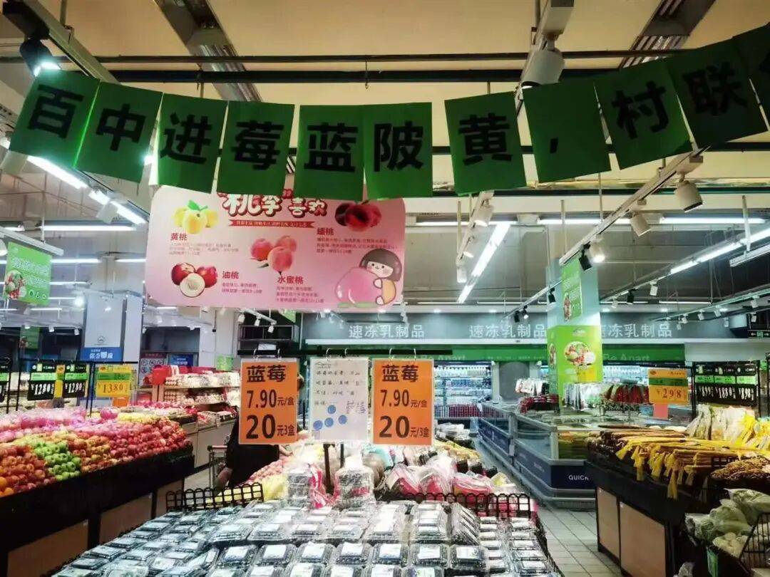 国企联村·强村富民｜一颗蓝莓激活乡村振兴<strong></p>
<p>淘币时代</strong>，书写荒坡变宝地新篇