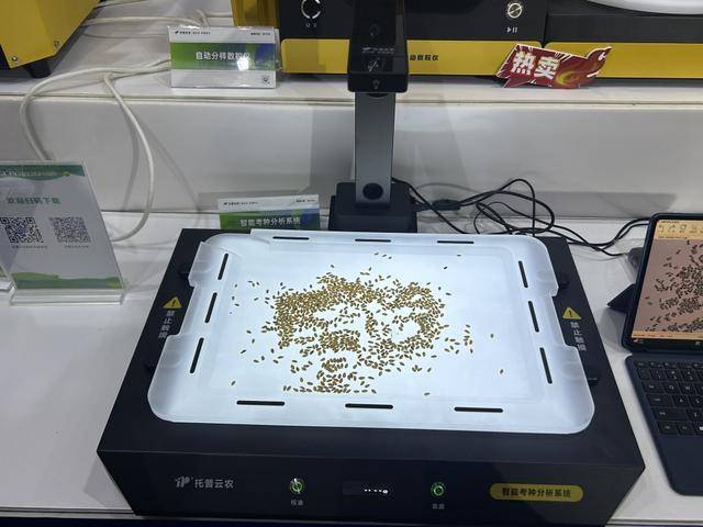 紫色向日葵、多彩胡萝卜、双色火龙果亮相青岛<strong></p>
<p>淘币时代</strong>，种子盛会变身“未来食物实验室”