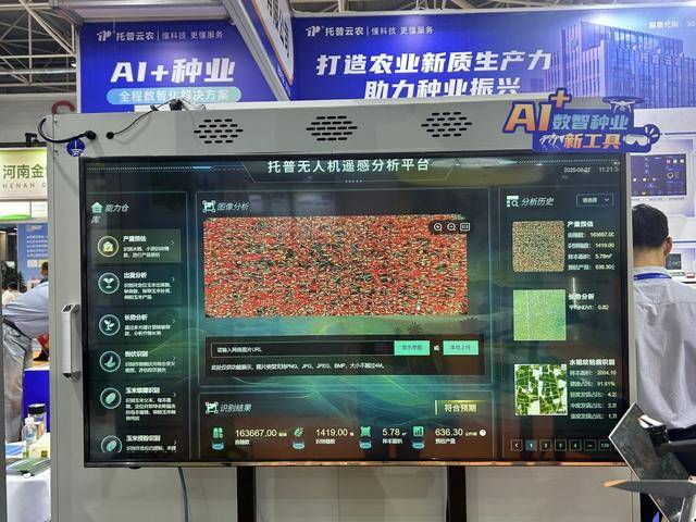 紫色向日葵、多彩胡萝卜、双色火龙果亮相青岛<strong></p>
<p>淘币时代</strong>，种子盛会变身“未来食物实验室”