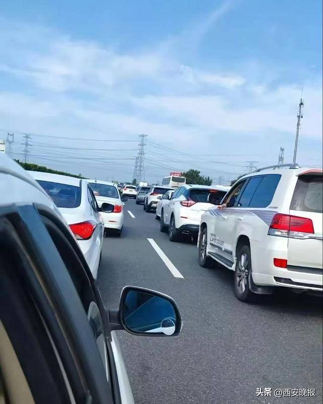 “聪明的人已经提前出发了”<strong></p>
<p>mith币</strong>，结果高速上全是聪明人！