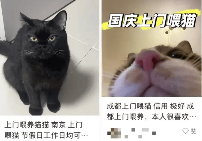 这个需求激增！一男子连接270单<strong></p>
<p>牛币币</strong>，其中一笔收费8100元