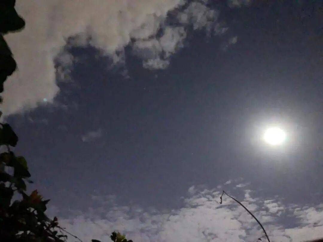 没有什么能阻挡！今天<strong></p>
<p>牛币币</strong>，广西人就是要回家！
