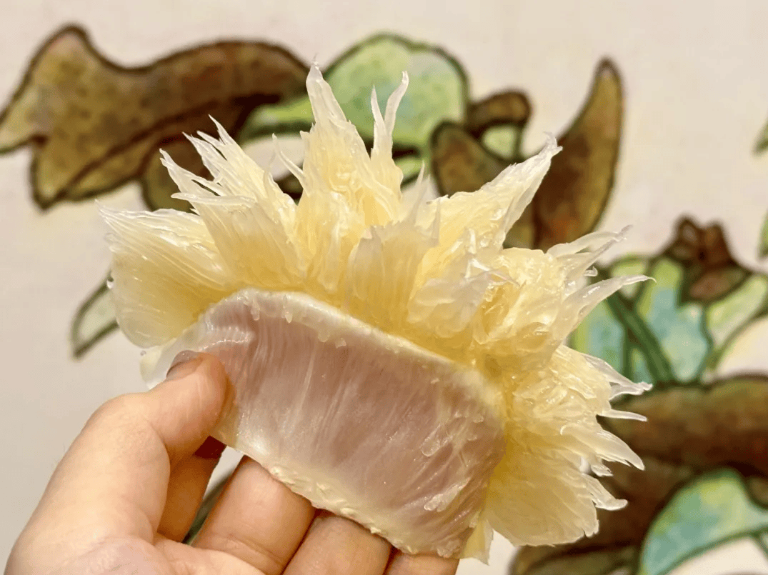 没有什么能阻挡！今天<strong></p>
<p>牛币币</strong>，广西人就是要回家！