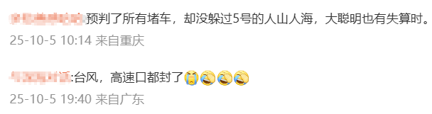 神预判<strong></p>
<p>币汇系列</strong>！第一波返程的“聪明人”在高速上精准相遇