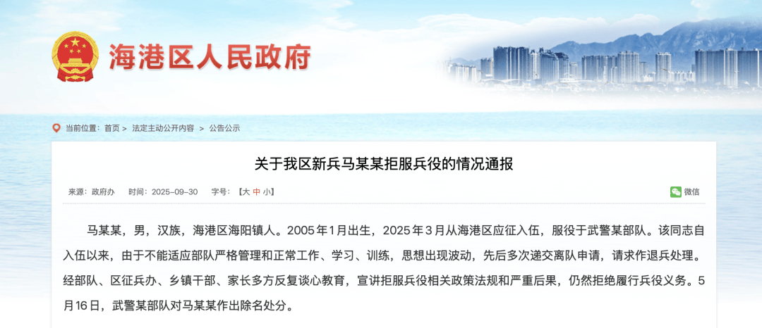 马某某（2005年出生），不得录用为公务员、罚款86400元