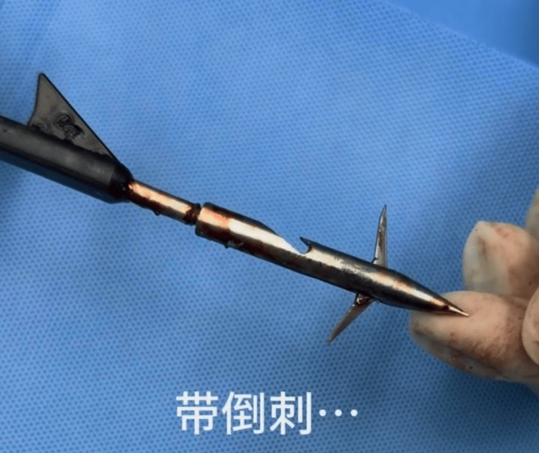 教育局回应“一教师用弓箭射杀小狗”：不实<strong></p>
<p>罄币</strong>，小狗进学校前就被射伤