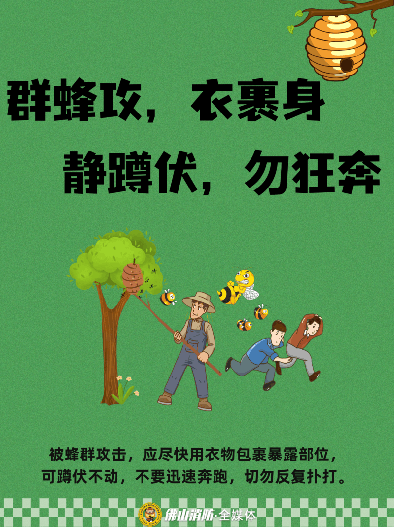深圳一市民突遭马蜂围袭！已进入高发期<strong></p>
<p>火特币</strong>，千万别招惹！