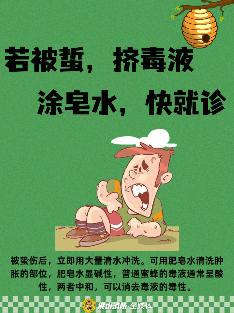 深圳一市民突遭马蜂围袭！已进入高发期<strong></p>
<p>火特币</strong>，千万别招惹！