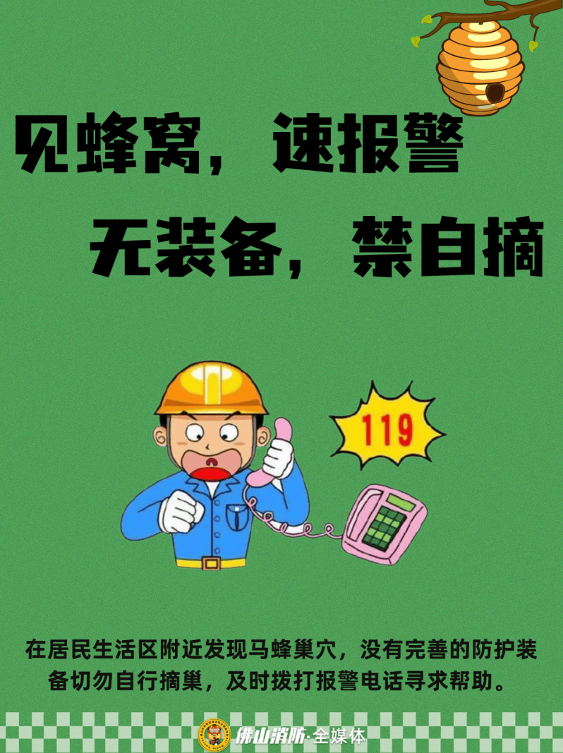深圳一市民突遭马蜂围袭！已进入高发期<strong></p>
<p>火特币</strong>，千万别招惹！
