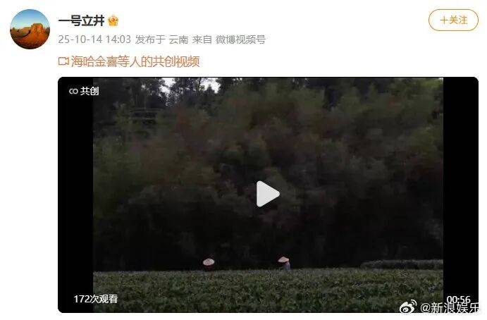 李亚鹏官宣与海哈金喜离婚：已经办理了离婚手续，孩子跟随母亲生活，由双方抚养