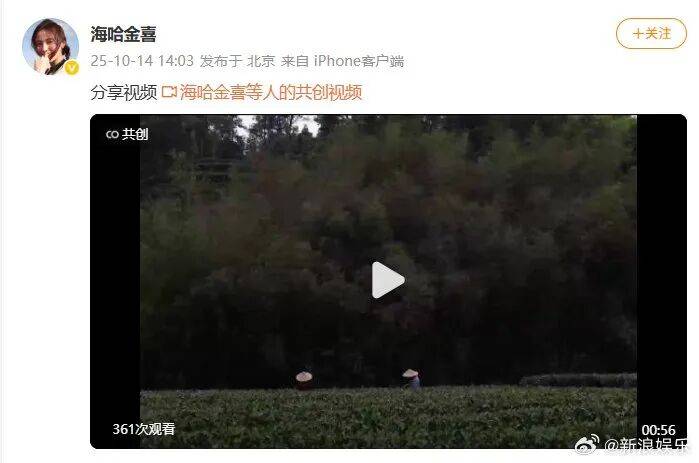 李亚鹏官宣与海哈金喜离婚：已经办理了离婚手续<strong></p>
<p>瓦特币</strong>，孩子跟随母亲生活，由双方抚养