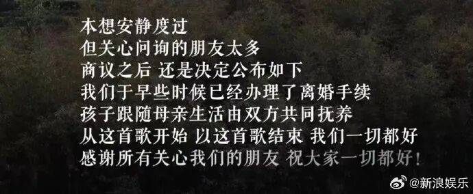 李亚鹏官宣与海哈金喜离婚：已经办理了离婚手续<strong></p>
<p>瓦特币</strong>，孩子跟随母亲生活，由双方抚养