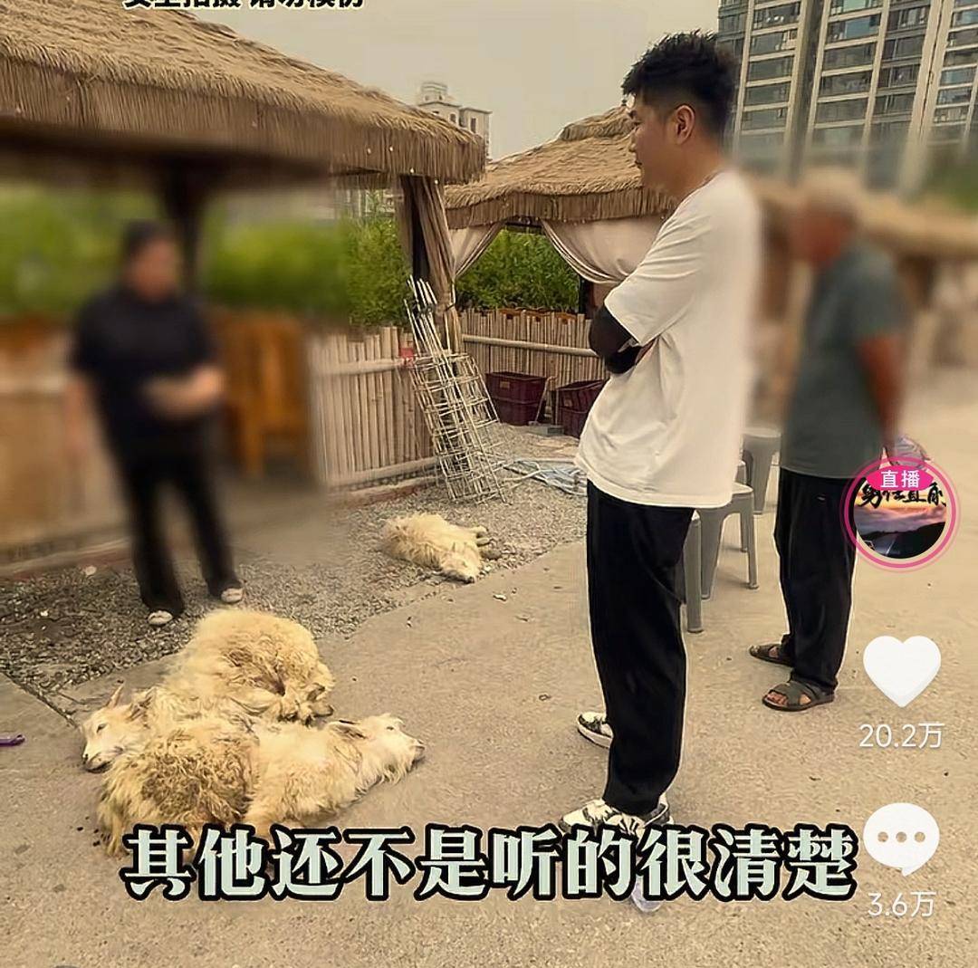 60斤活羊实际只有30多斤<strong></p>
<p>农币</strong>!博主打假重庆两家烤全羊店获“退一赔三”