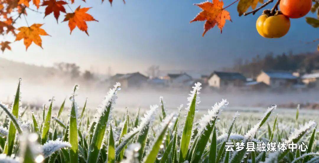 今日霜降