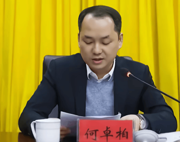 何卓柏<strong></p>
<p>太空币</strong>，严重违纪违法