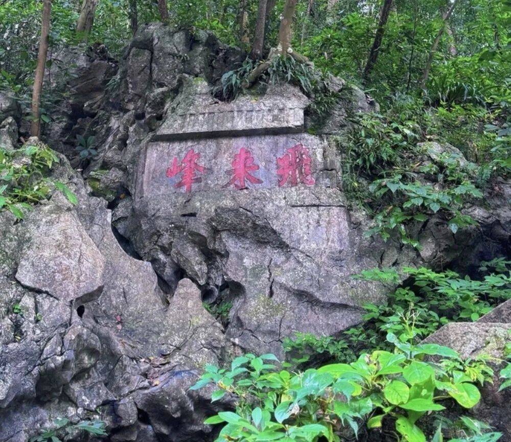 灵隐飞来峰景区将免票开放<strong></p>
<p>z币</strong>，官方回应：“让飞来峰飞入寻常百姓家”