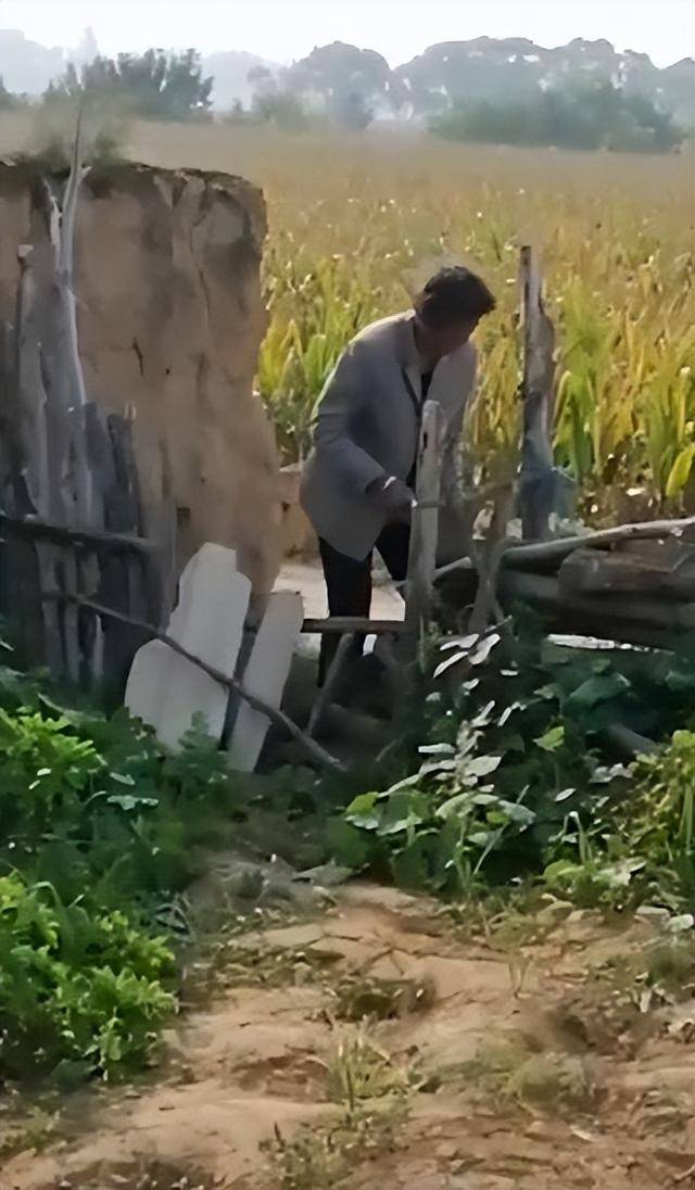 陕西一女子疑因拍亲姑姑偷玉米遭姑父棍杀<strong></p>
<p>全球有多少种币</strong>，邻居欲报警也遇害