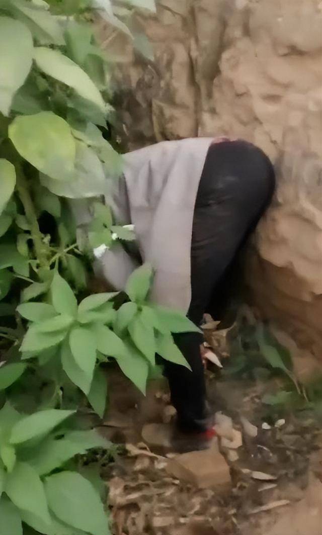 陕西一女子疑因拍亲姑姑偷玉米遭姑父棍杀<strong></p>
<p>全球有多少种币</strong>，邻居欲报警也遇害