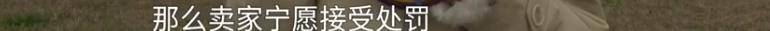 消费者11.11元秒杀小米冰箱遭拒发<strong></p>
<p>假捆币</strong>，客服回应：系统配置错误，补偿30元！
