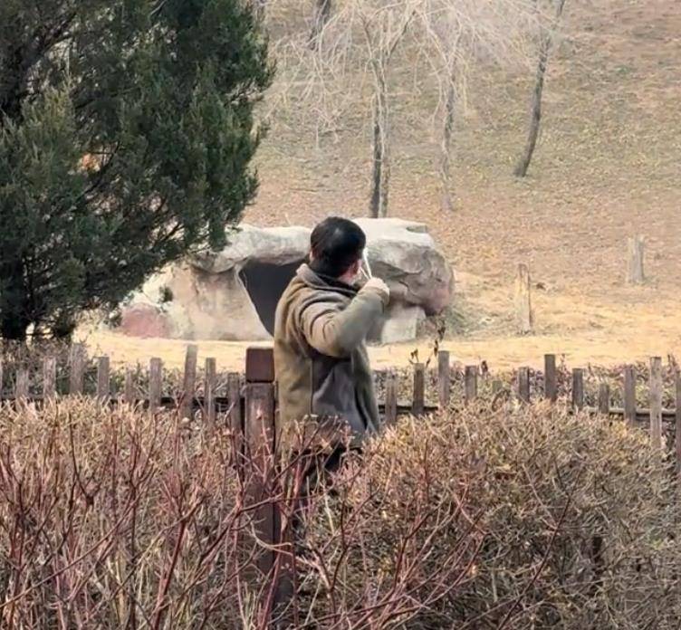 沈阳一男子动物园内用弹弓射老虎<strong></p>
<p>假捆币</strong>，目击者称其“填装了弹丸”，打完后老虎爬起来了，园方：正在核实情况