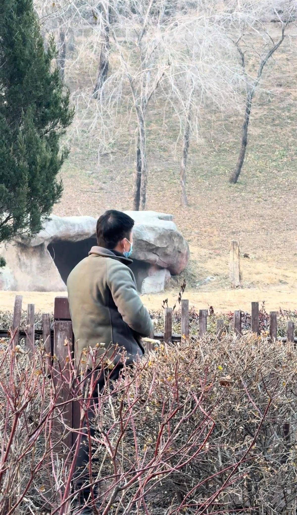 沈阳一男子动物园内用弹弓射老虎<strong></p>
<p>假捆币</strong>，目击者称其“填装了弹丸”，打完后老虎爬起来了，园方：正在核实情况
