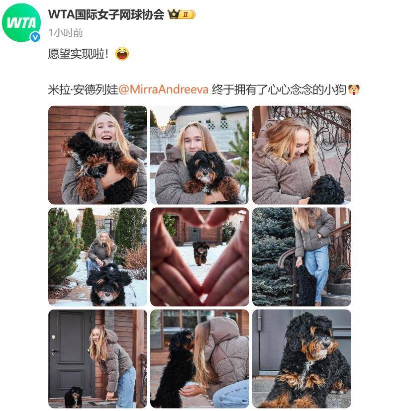 “小米辣”终于有了自己的小狗！曾说养狗是赢球的动力<strong></p>
<p>吉祥如意币</strong>，WTA官方发“贺信”：愿望实现啦！