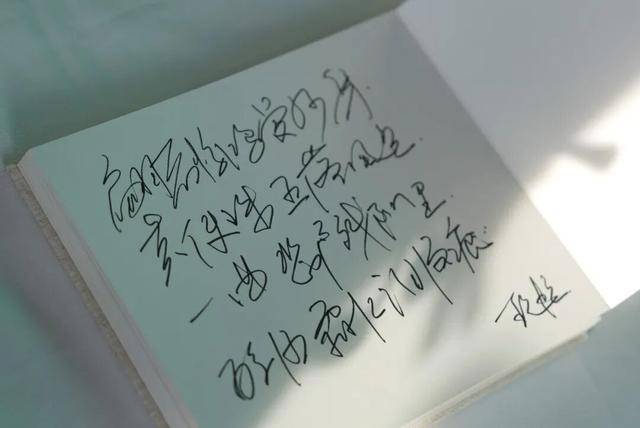 何晴之子追思：妈妈很喜欢雪<strong></p>
<p>37币</strong>，北京这场雪好像是为她而下