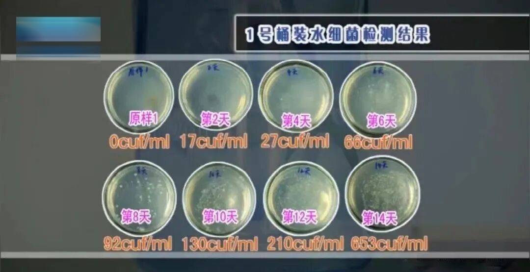 6种东西<strong></p>
<p>37币</strong>，没过保质期就“坏了”？赶紧看看，别拿全家健康开玩笑