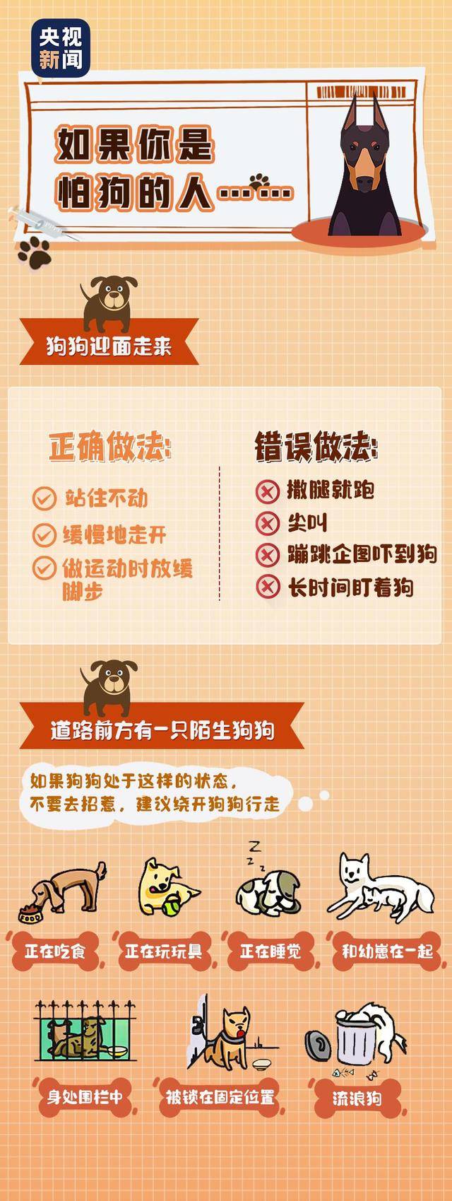 下月起<strong></p>
<p>鑫坤币</strong>，遛狗不栓绳最高拘10天罚1千