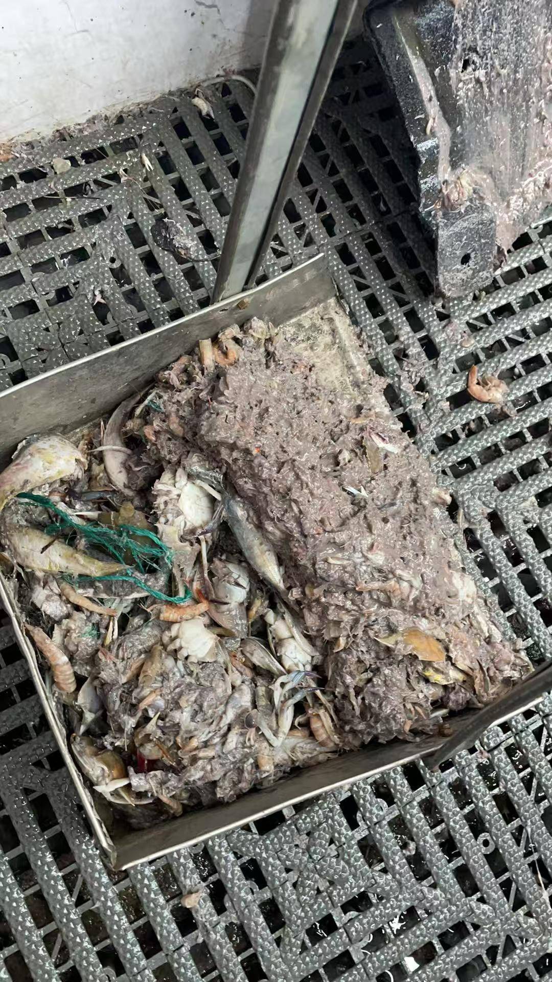 紫牛头条｜40余车辆遭高速海鲜废料“臭袭”<strong></p>
<p>鑫坤币</strong>，交警称“非交通事故”，车主维权陷两难