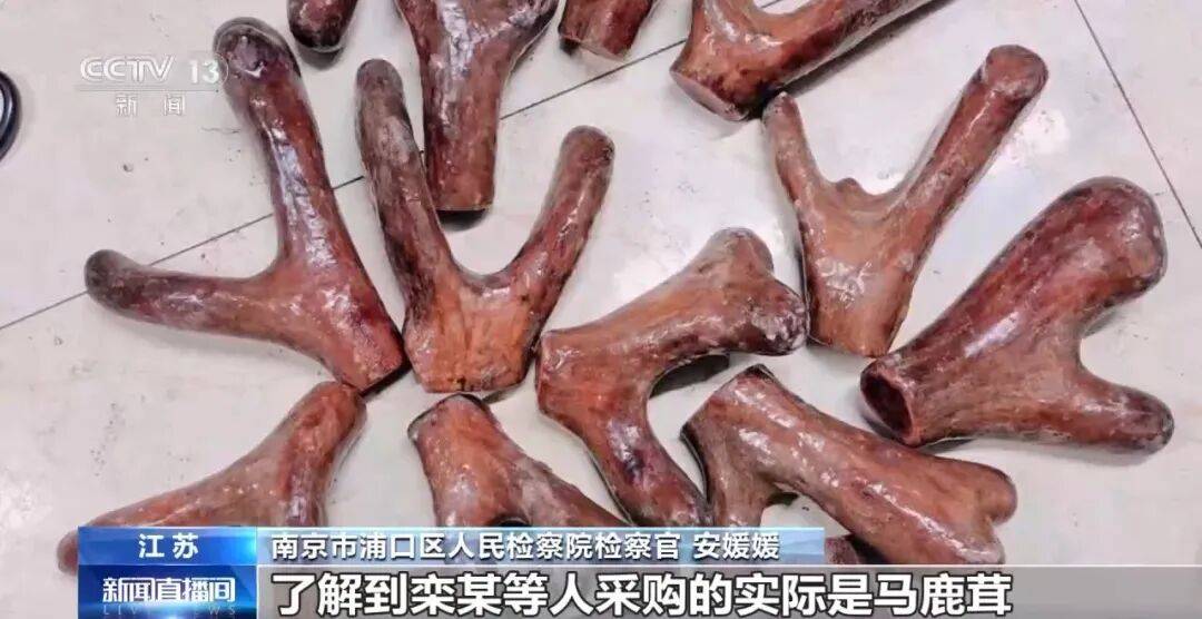 老人不买天价鹿茸被一脚踹翻<strong></p>
<p>虎币</strong>，南京一团伙暴力威逼老人买单，100多人被骗，涉案金额90余万元，多数老人乖乖回家拿钱，甚至被逼去银行取款