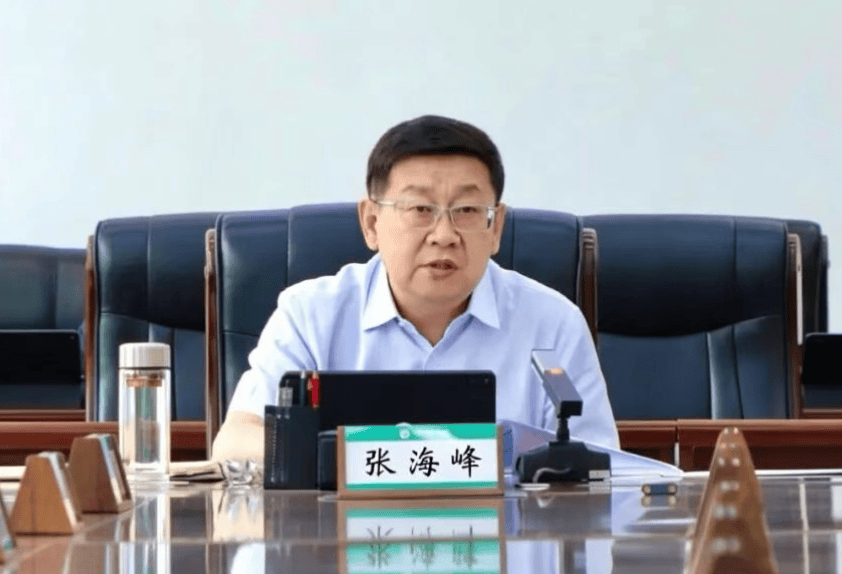 涉嫌严重违纪违法<strong></p>
<p>渴望币</strong>，张海峰被查